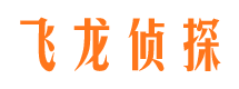 西畴侦探